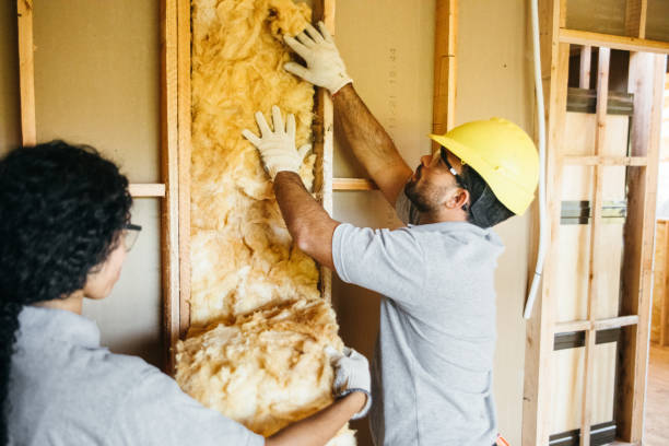 Best Insulation Contractor Near Me  in Cloverly, MD